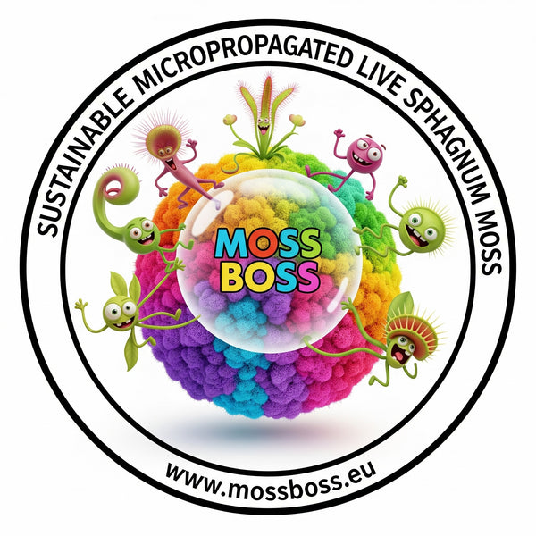  Live Sphagnum Moss SUSTAINABLE MICROPROPAGATED 
